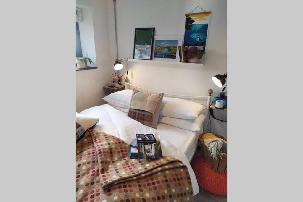 Milking Shed Cottage Narberth Ngoại thất bức ảnh